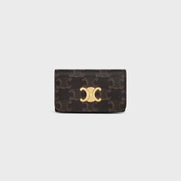 SMALL BOSTON IN Triomphe Canvas and calfskin - TAN - Golden Week - 1 | CELINE