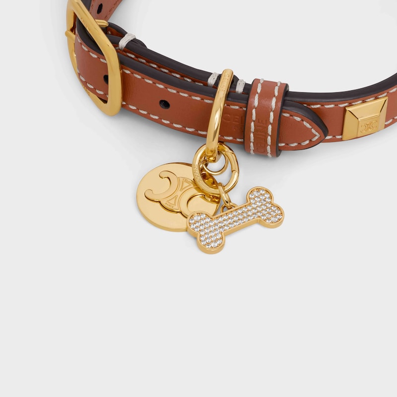 Bone strass dog medal in brass - GOLD - DOG ACCESSORIES - 1 | CELINE