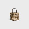 SMALL TRIOMPHE FRAME IN PYTHON - MIEL - TOP-HANDLE BAGS - 1 | CELINE