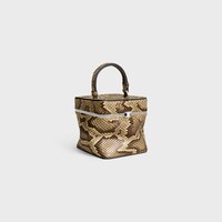 SMALL TRIOMPHE FRAME IN PYTHON - MIEL - TOP-HANDLE BAGS - 2 | CELINE