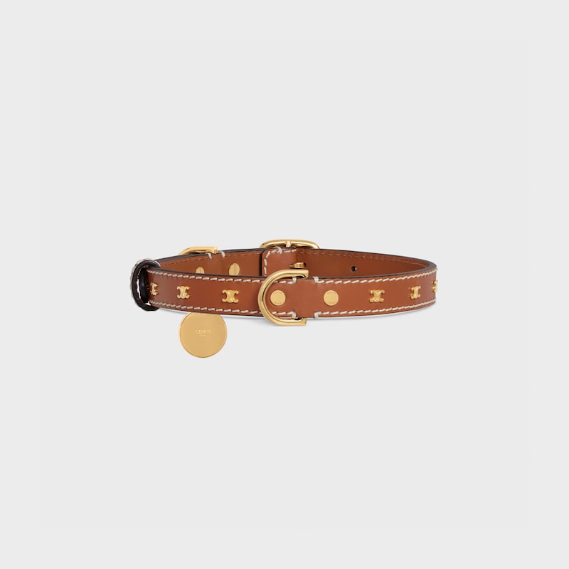 Medium Thin Dog Collar in Smooth Calfskin with Triomphe Studs - TAN - DOG ACCESSORIES - 1 | CELINE