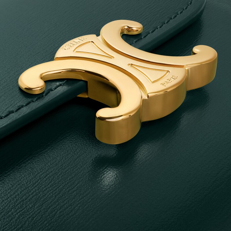 Small Flap Wallet TRIOMPHE in Shiny calfskin - AMAZONE - GIFT FINDER - 1 | CELINE