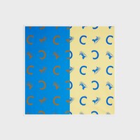 square IN silk twill - TEAL/YELLOW -  - 1 | CELINE