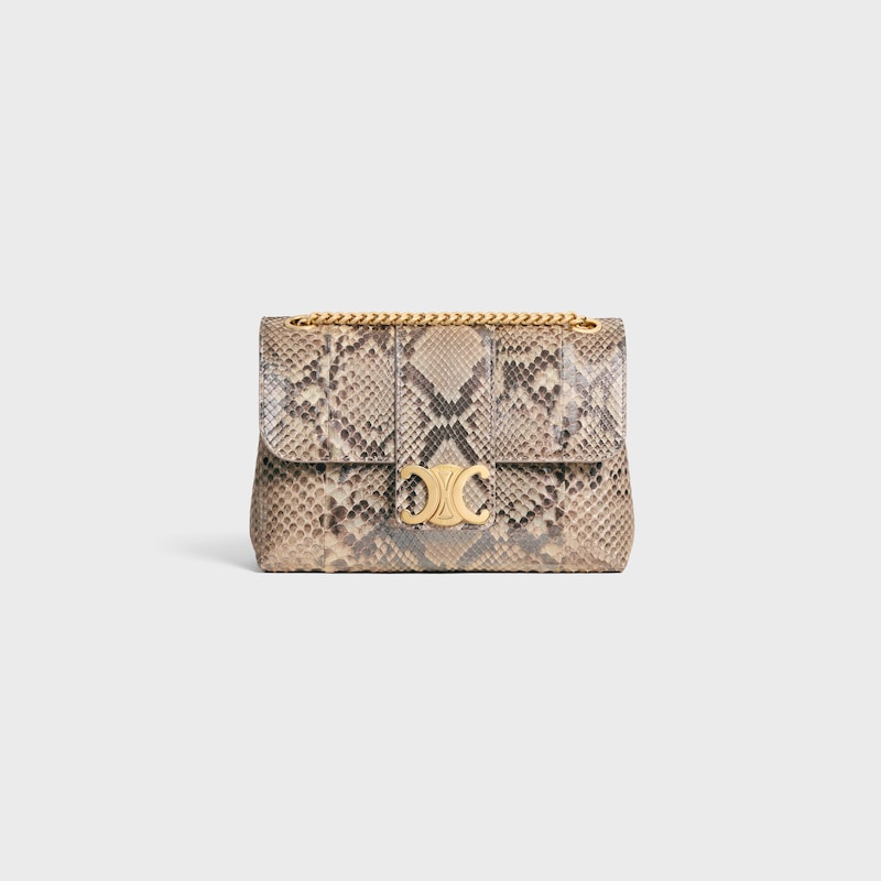 Medium Celine Victoire Bag IN pearly python - NATURAL - MORE LINES - 1 | CELINE