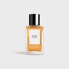 BOIS DORMANT EAU DE PARFUM 100ML -  - THE FRAGRANCES - 1 | CELINE