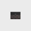 LARGE CARD HOLDER IN TRIOMPHE CANVAS AND CALFSKIN - BLACK - GIFTS FOR HIM - 1 | CELINE