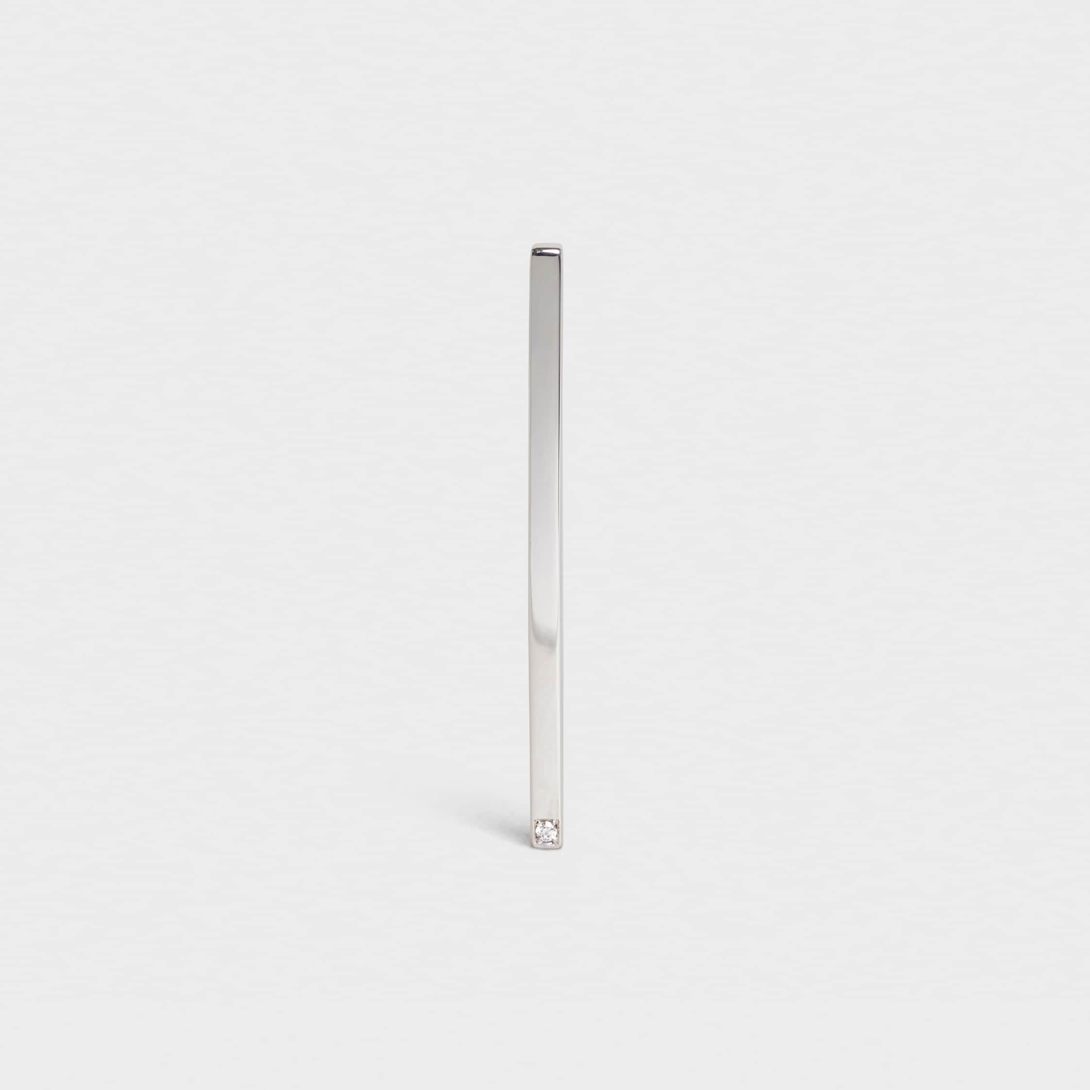Celine Sentimental Straight Earring in White Gold and Diamond