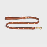 Thin Dog Leash in Smooth Calfskin with Studs Triomphe - TAN - DOG ACCESSORIES - 1 | CELINE