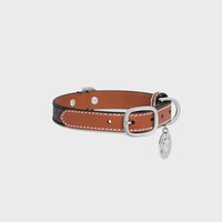 Small Thin Dog Collar in Triomphe Canvas and Calfskin - TAN - DOG ACCESSORIES - 2 | CELINE