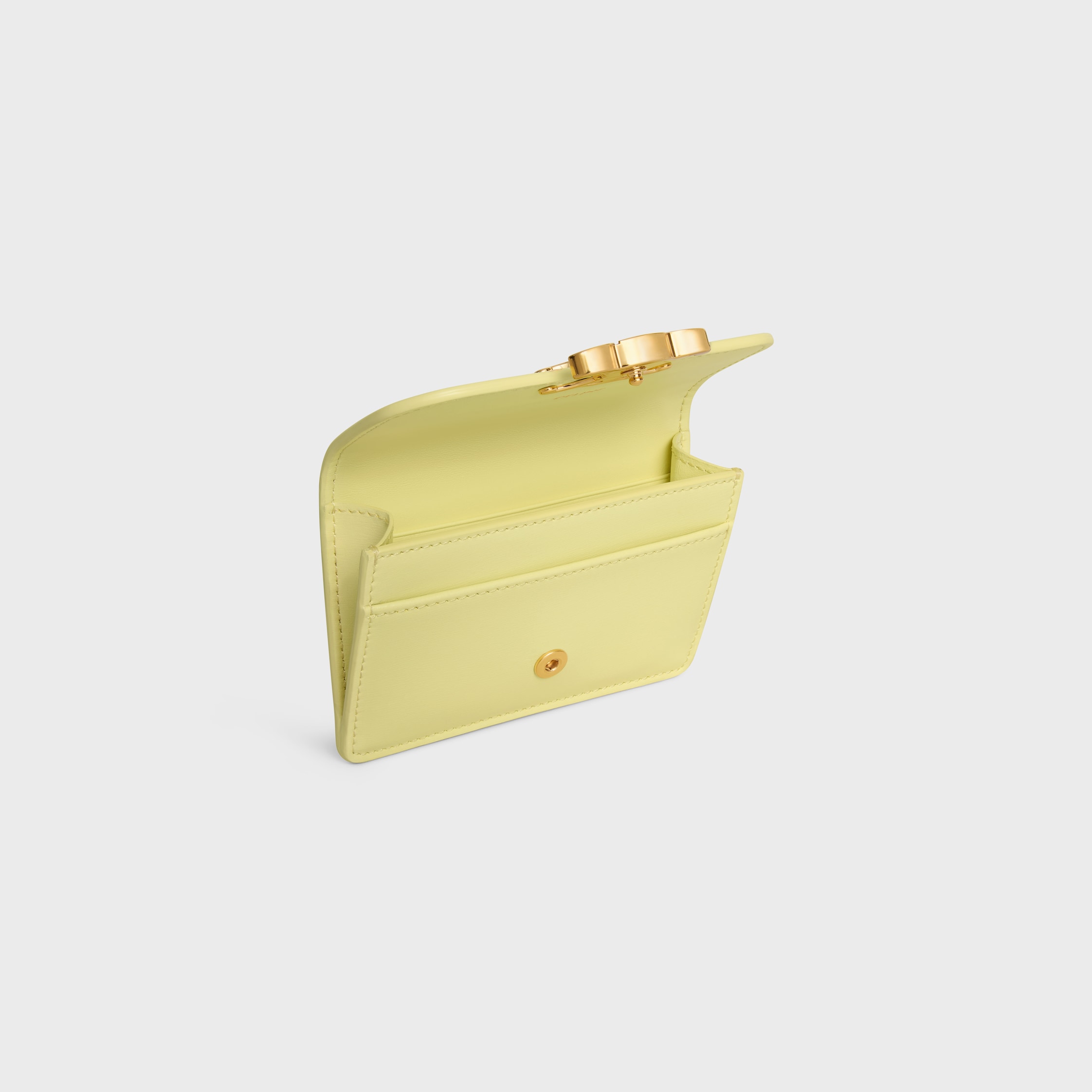 DESIGNER WOMEN'S LUXURY YELLOW SMALL LEATHER GOODS | CELINE