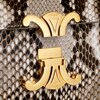 Teen Triomphe Bag in PYTHON - NATURAL - TRIOMPHE - 5 | CELINE