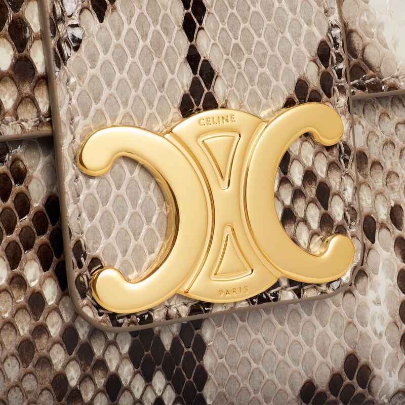 TEEN CELINE VICTOIRE BAG in PYTHON - NATURAL - MORE LINES - 1 | CELINE