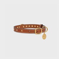 Medium Thin Dog Collar in Smooth Calfskin with Triomphe Studs - TAN - DOG ACCESSORIES - 2 | CELINE