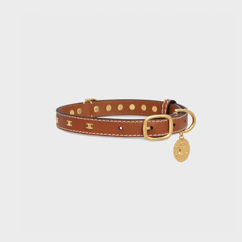 Medium Thin Dog Collar in Smooth Calfskin with Triomphe Studs - TAN - DOG ACCESSORIES - 1 | CELINE