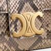 Medium Celine Victoire Bag IN pearly python - NATURAL - MORE LINES - 5 | CELINE