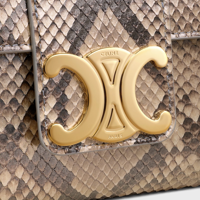Medium Celine Victoire Bag IN pearly python - NATURAL - MORE LINES - 1 | CELINE
