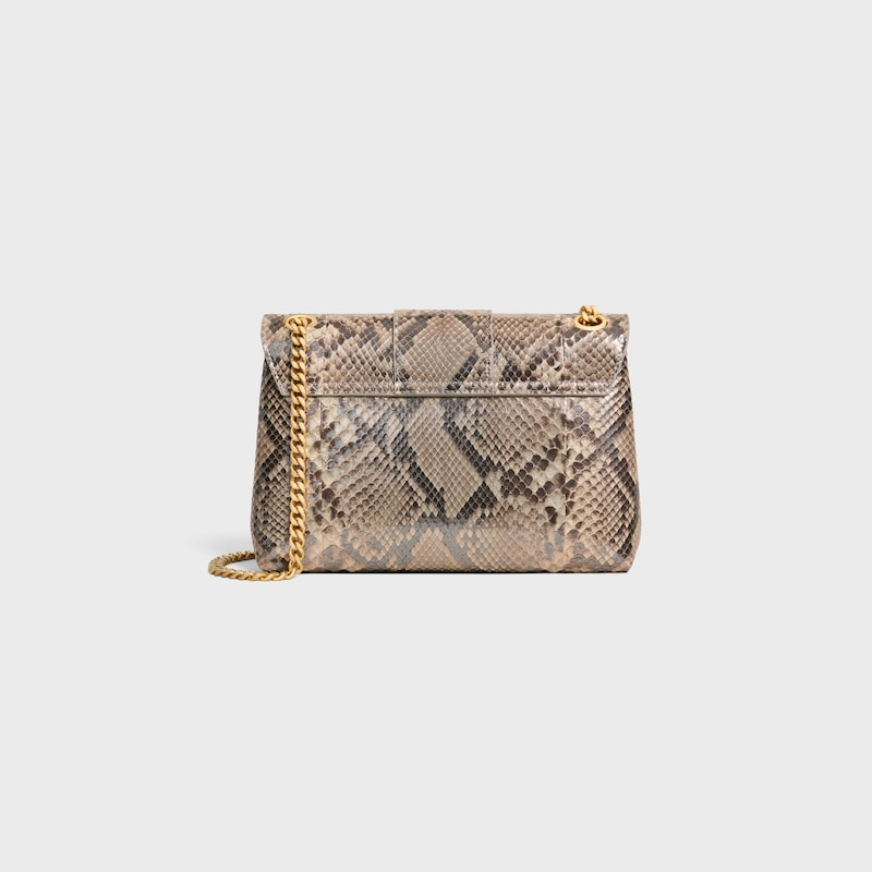 Medium Celine Victoire Bag IN pearly python - NATURAL - MORE LINES - 1 | CELINE
