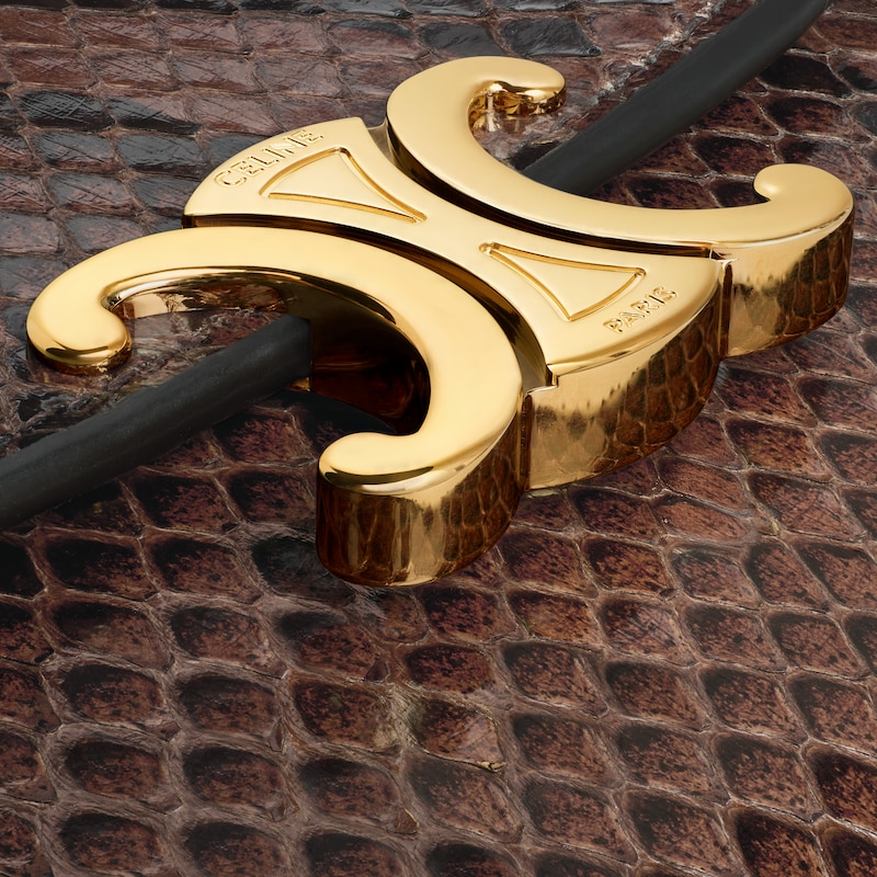 Small Flap Wallet TRIOMPHE IN PYTHON - HICKORY - WALLETS - 1 | CELINE