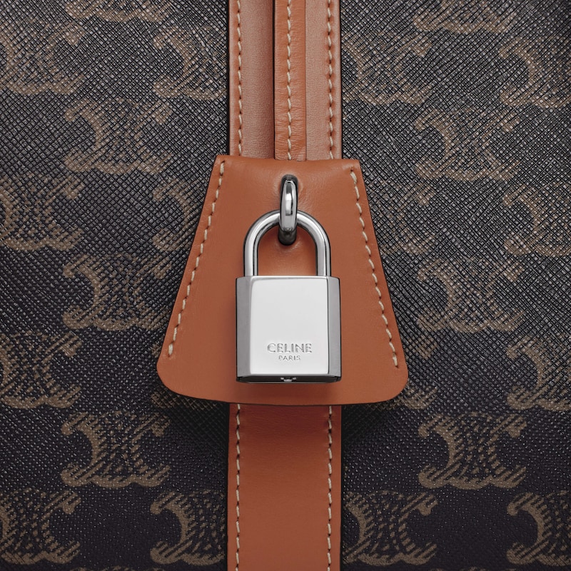 TRAVEL DOG BAG IN TRIOMPHE CANVAS AND CALFKSIN - TAN - DOG ACCESSORIES - 1 | CELINE