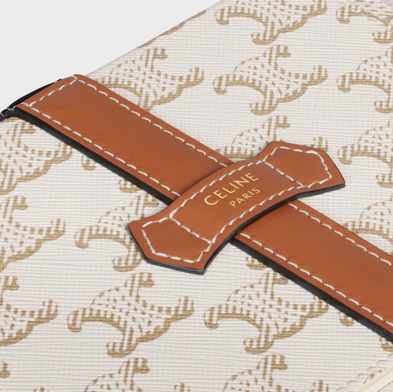 Large Jewels Case in Triomphe Canvas and Calfskin - WHITE - BEAUTY ACCESSORIES - 1 | CELINE