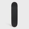 SKATEBOARD IN TEXTURED SNAKE AND CELINE PRINT - BLACK -  - 2 | CELINE