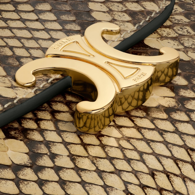 Small Flap Wallet TRIOMPHE IN Python - HONEY - WALLETS - 1 | CELINE