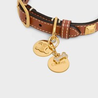 Bone strass plate dog medal in brass - GOLD - DOG ACCESSORIES - 1 | CELINE