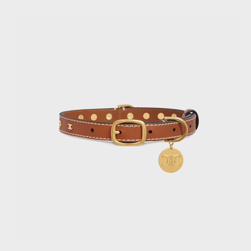 Medium Thin Dog Collar in Smooth Calfskin with Triomphe Studs - TAN - DOG ACCESSORIES - 1 | CELINE