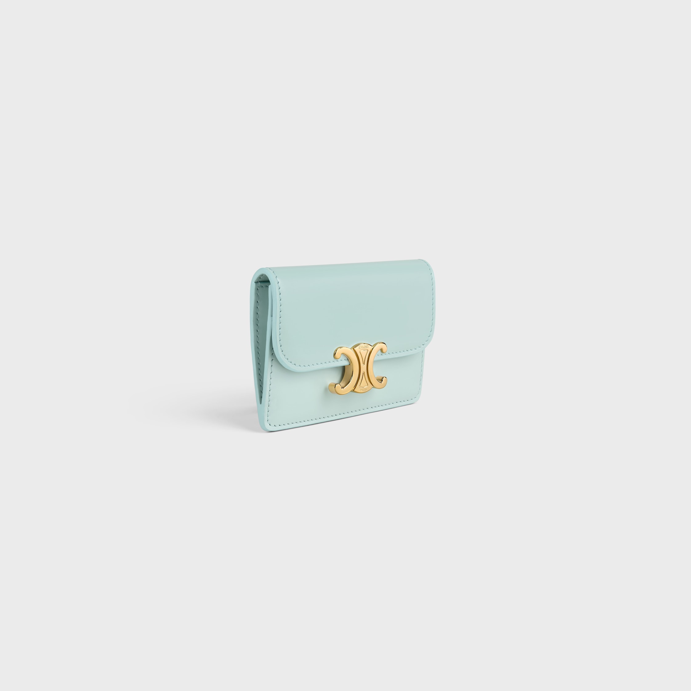 DESIGNER SMALL LEATHER GOODS FOR WOMEN | CELINE