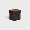 Medium Box in Triomphe Canvas and Calfskin - TAN - HOME - 2 | CELINE