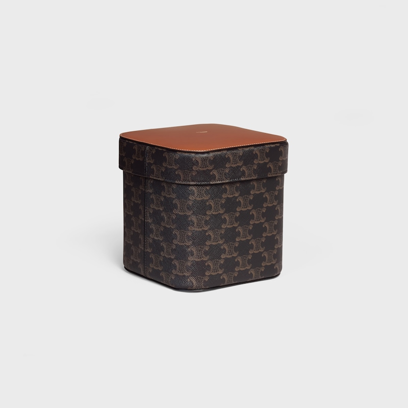 Triomphe帆布及小牛皮大型盒 - 棕黃色 - 家居系列 - 1 | CELINE