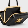 EVENING TRIOMPHE MINAUDIERE in Lizard - BLACK - EVENING BAGS - 5 | CELINE