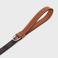 Wide Dog Leash in Triomphe Canvas and Calfskin - TAN - DOG ACCESSORIES - 2 | CELINE