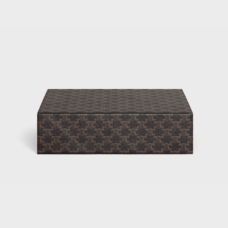 stationery case in triomphe canvas and calfskin - TAN - HAND-PICKED GIFTS - 1 | CELINE