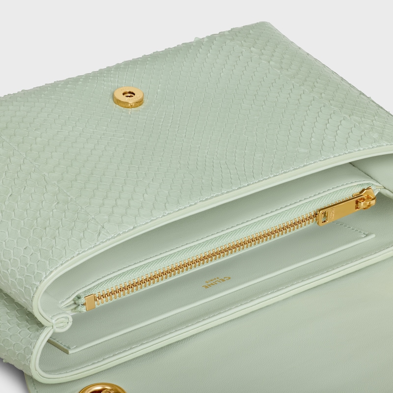 Medium Celine Victoire Bag in PYTHON - LIGHT CLAY - MORE LINES - 1 | CELINE