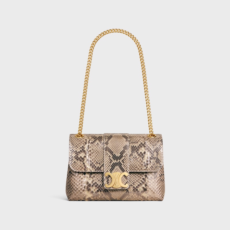 Medium Celine Victoire Bag IN pearly python - NATURAL - MORE LINES - 1 | CELINE