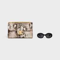 TEEN CELINE VICTOIRE BAG in PYTHON - NATURAL - CELINE VICTOIRE - 1 | CELINE
