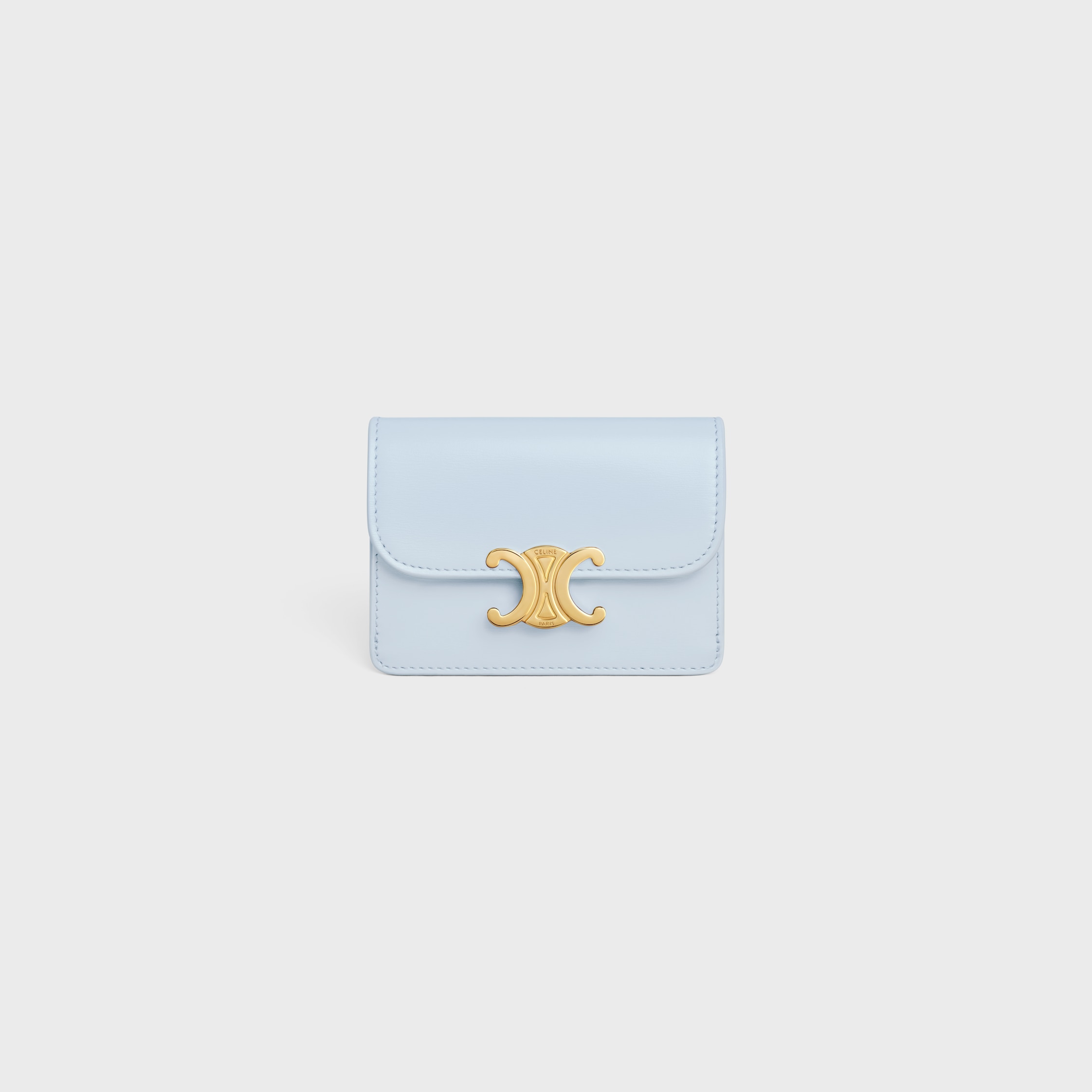 DESIGNER WOMEN'S LUXURY BLUE SMALL LEATHER GOODS | CELINE