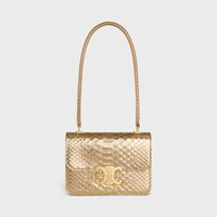 TEEN GARANCE bag in LAMINATED PYTHON - GOLD - GIFT FINDER - 1 | CELINE
