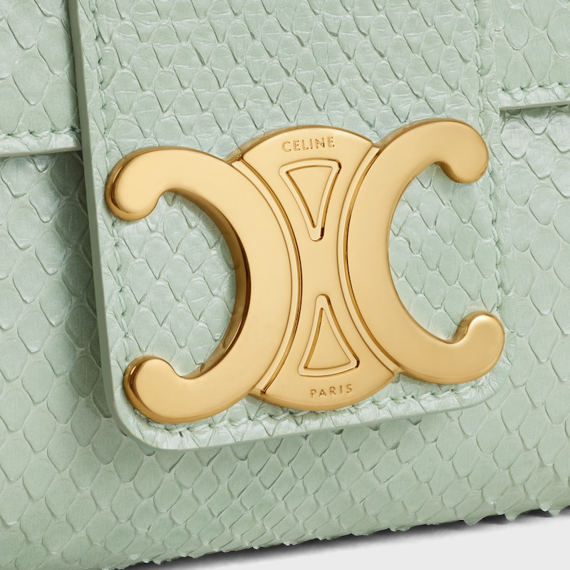 Medium Celine Victoire Bag in PYTHON - LIGHT CLAY - MORE LINES - 1 | CELINE