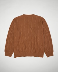 oversized crewneck sweater IN CASHMERE chains triomphe - RUST -  - 2 | CELINE