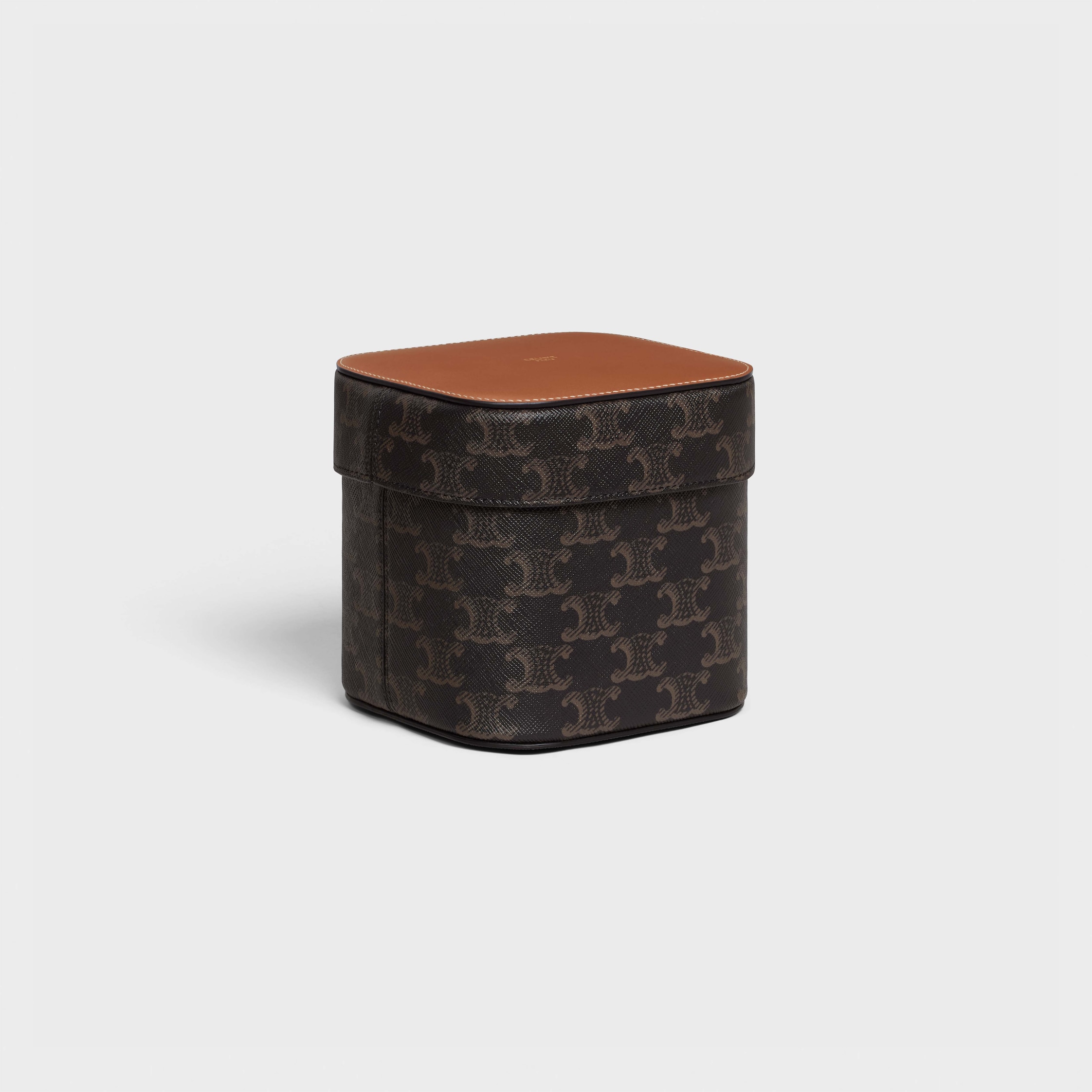 Medium Box in Triomphe Canvas and Calfskin - TAN | CELINE