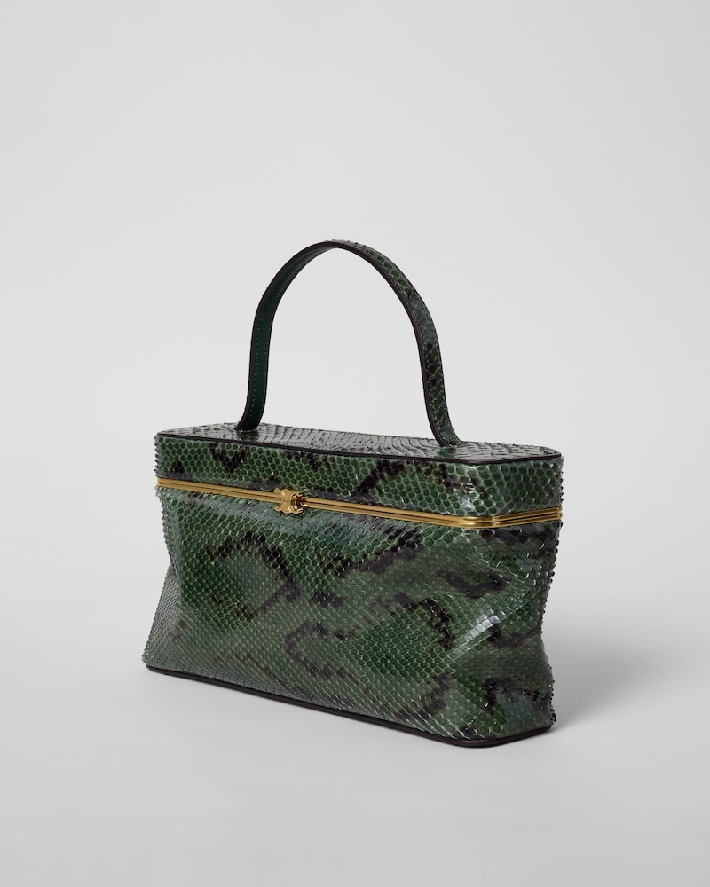 กระเป๋าทรงสี่เหลี่ยมผืนผ้าทำจากหนังงู - สีไพน์ - สินค้าใหม่ - 1 | CELINE