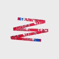 ribbon IN SILK TWILL - RED/BLUE/MULTICOLOR -  - 1 | CELINE