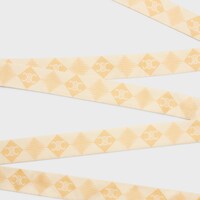 ribbon IN SILK TWILL - VANILLE/JAUNE -  - 2 | CELINE