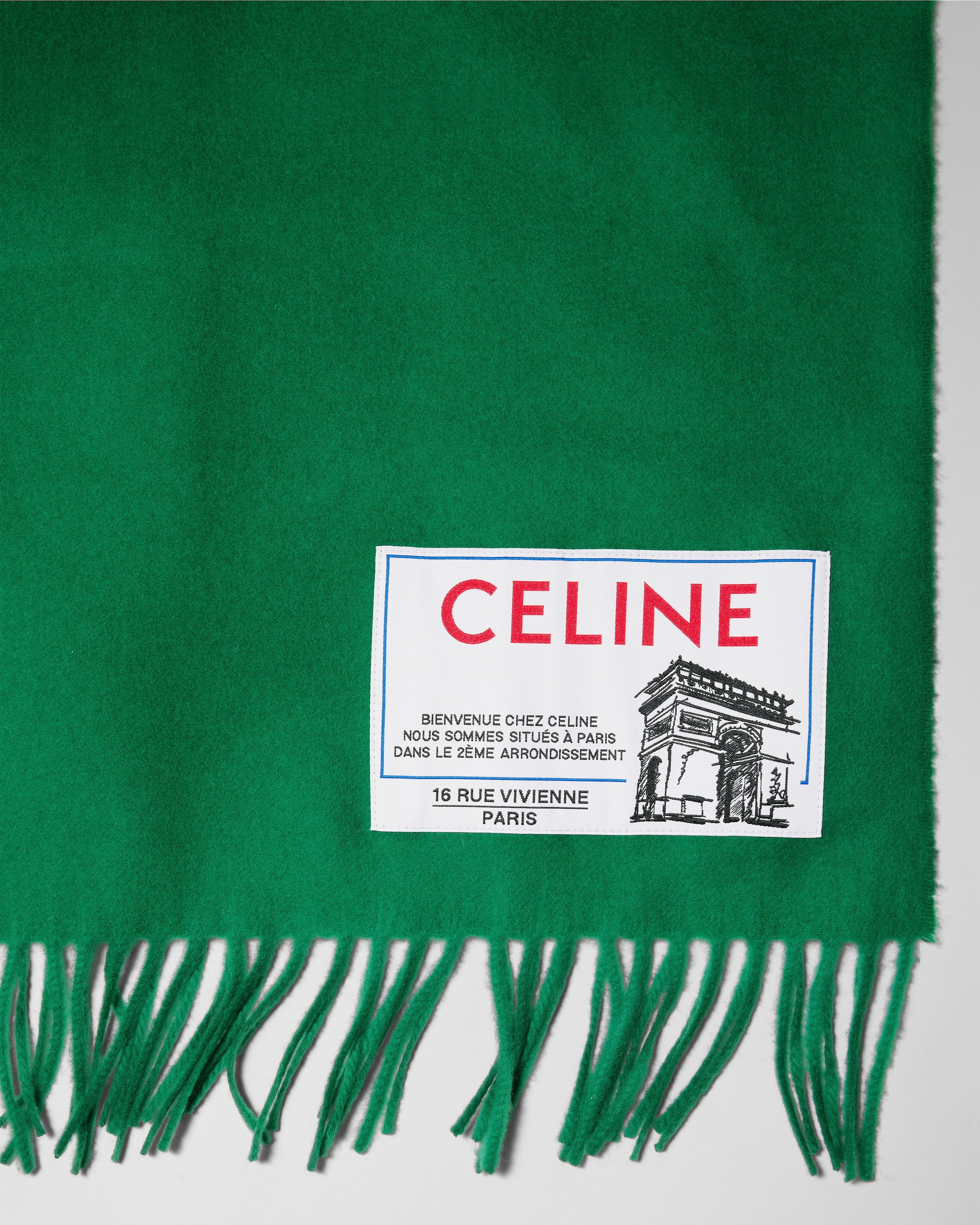 CASHMERE WOOL SCARF - VERT | CELINE