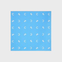 bandana IN silk twill - BABY BLUE/CREAM -  - 1 | CELINE