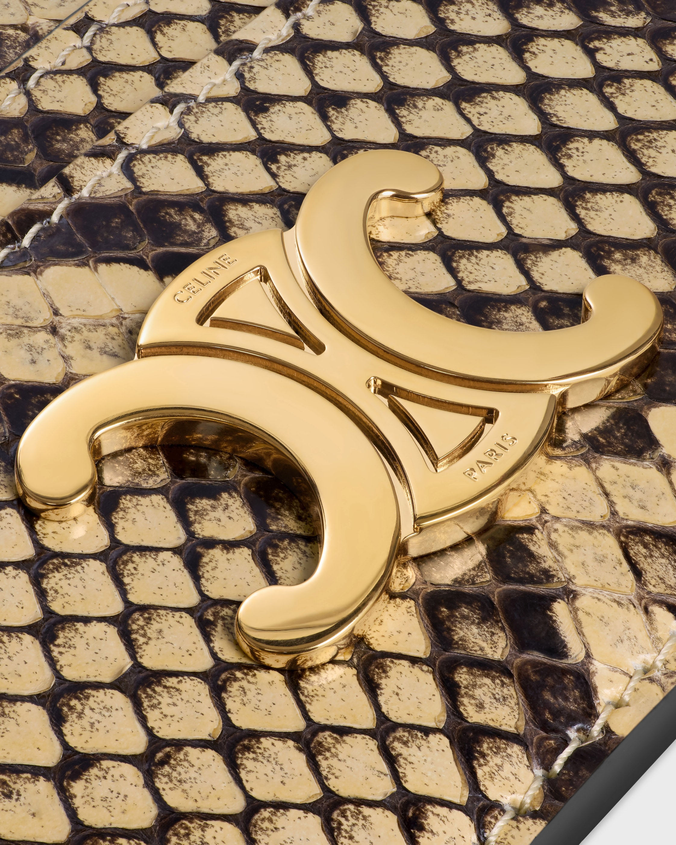 CARD HOLDER TRIOMPHE IN PYTHON - MIEL | CELINE
