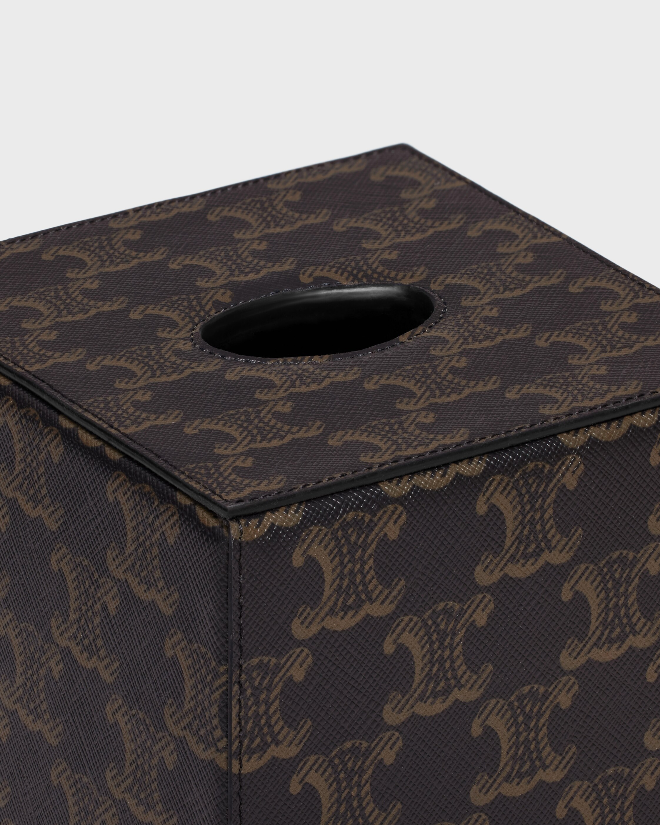 Tissue Cube in Triomphe Canvas - BLACK / TAN | CELINE