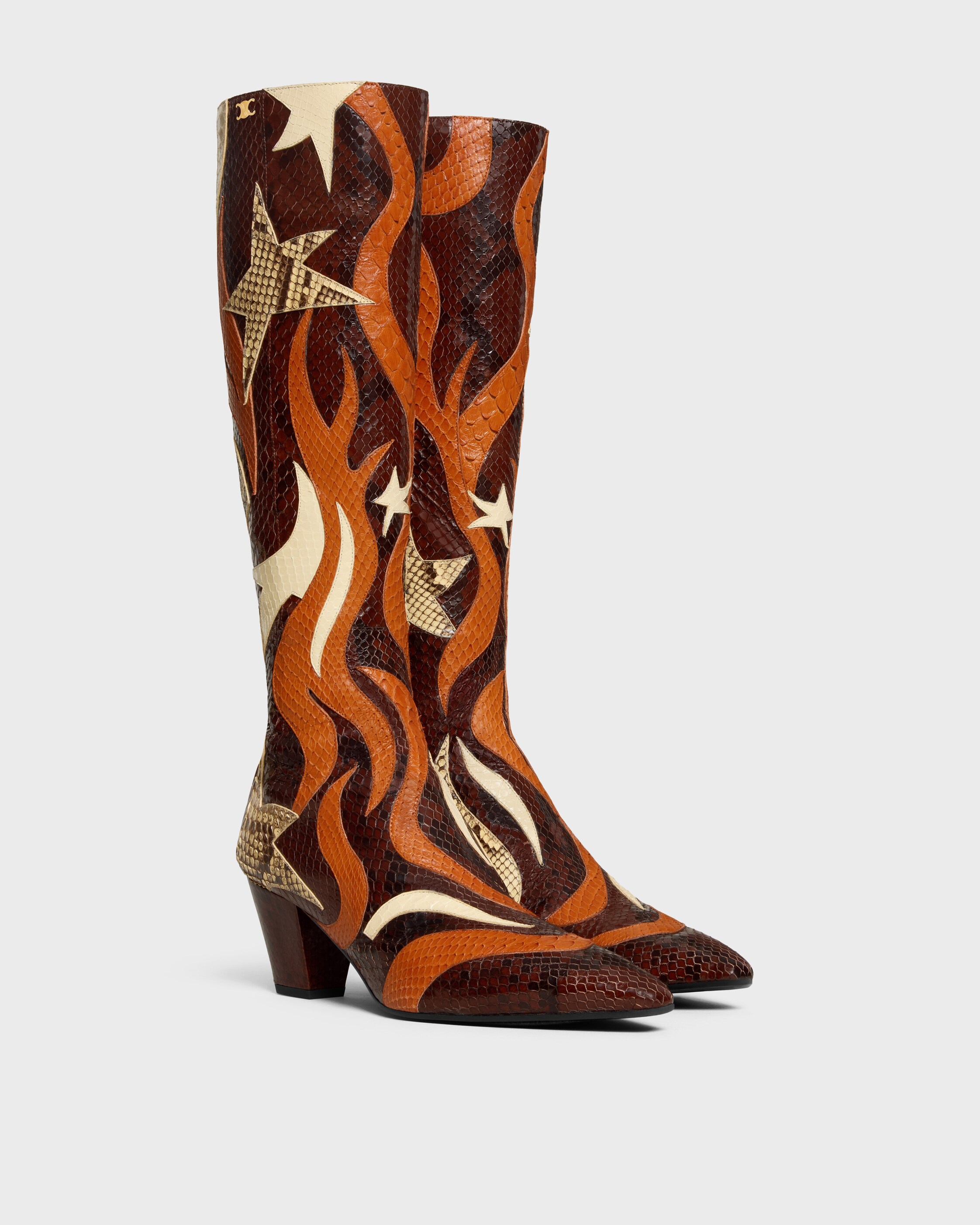 DESIGNER BROWN BOOTS AND ANKLE BOOTS FOR WOMEN | CELINE